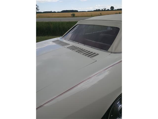 1965 Chevrolet Corvair Monza (CC-989782) for sale in Essex, Ontario