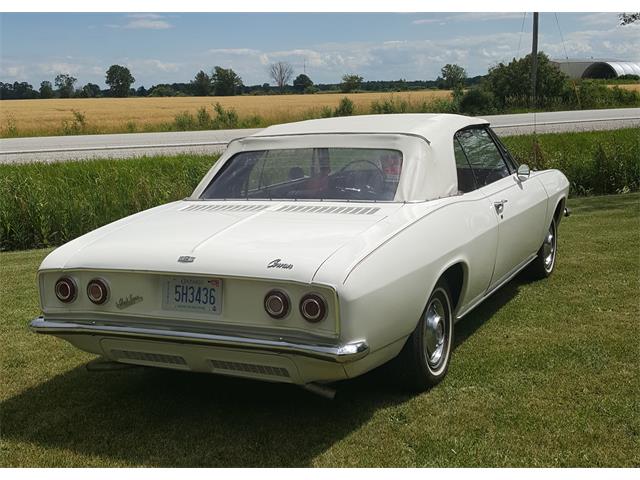 1965 Chevrolet Corvair Monza (CC-989782) for sale in Essex, Ontario