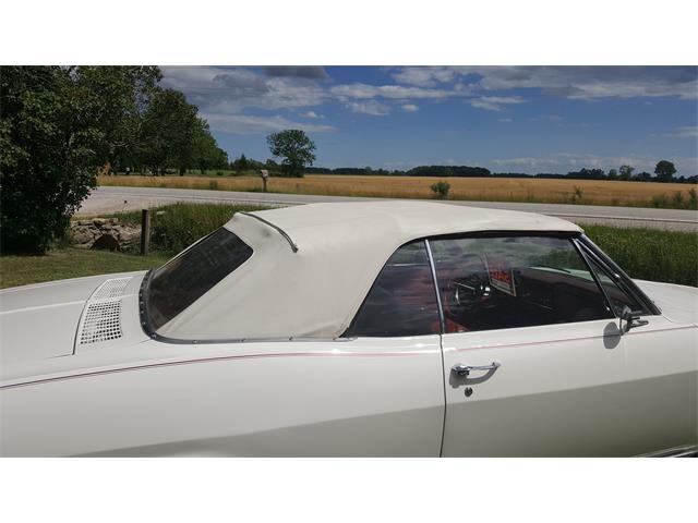 1965 Chevrolet Corvair Monza (CC-989782) for sale in Essex, Ontario