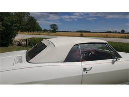 1965 Chevrolet Corvair Monza (CC-989782) for sale in Essex, Ontario