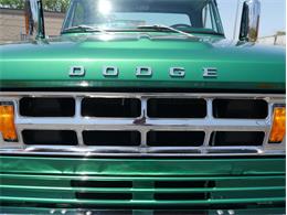 1969 Dodge D300 (CC-990116) for sale in Alsip, Illinois