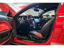 2009 Ford Mustang GT500KR (CC-990145) for sale in Tucson, Arizona