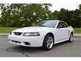 2001 Ford Mustang SVT Cobra Convertible (CC-991510) for sale in San Jose, California