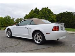 2001 Ford Mustang SVT Cobra Convertible (CC-991510) for sale in San Jose, California