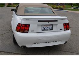 2001 Ford Mustang SVT Cobra Convertible (CC-991510) for sale in San Jose, California