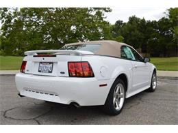 2001 Ford Mustang SVT Cobra Convertible (CC-991510) for sale in San Jose, California