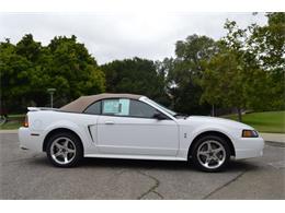 2001 Ford Mustang SVT Cobra Convertible (CC-991510) for sale in San Jose, California