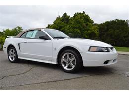 2001 Ford Mustang SVT Cobra Convertible (CC-991510) for sale in San Jose, California