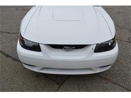 2001 Ford Mustang SVT Cobra Convertible (CC-991510) for sale in San Jose, California