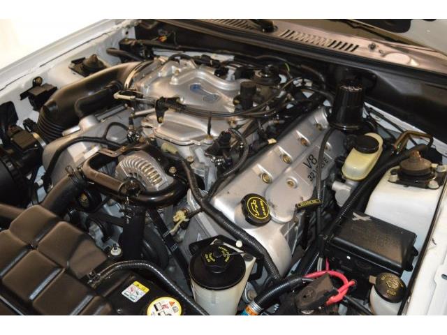 2001 Ford Mustang SVT Cobra Convertible (CC-991510) for sale in San Jose, California