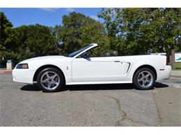 2001 Ford Mustang SVT Cobra Convertible (CC-991510) for sale in San Jose, California