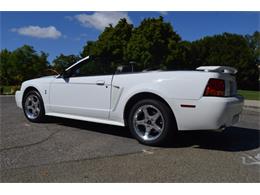 2001 Ford Mustang SVT Cobra Convertible (CC-991510) for sale in San Jose, California