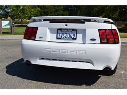 2001 Ford Mustang SVT Cobra Convertible (CC-991510) for sale in San Jose, California
