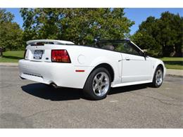 2001 Ford Mustang SVT Cobra Convertible (CC-991510) for sale in San Jose, California