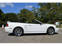 2001 Ford Mustang SVT Cobra Convertible (CC-991510) for sale in San Jose, California