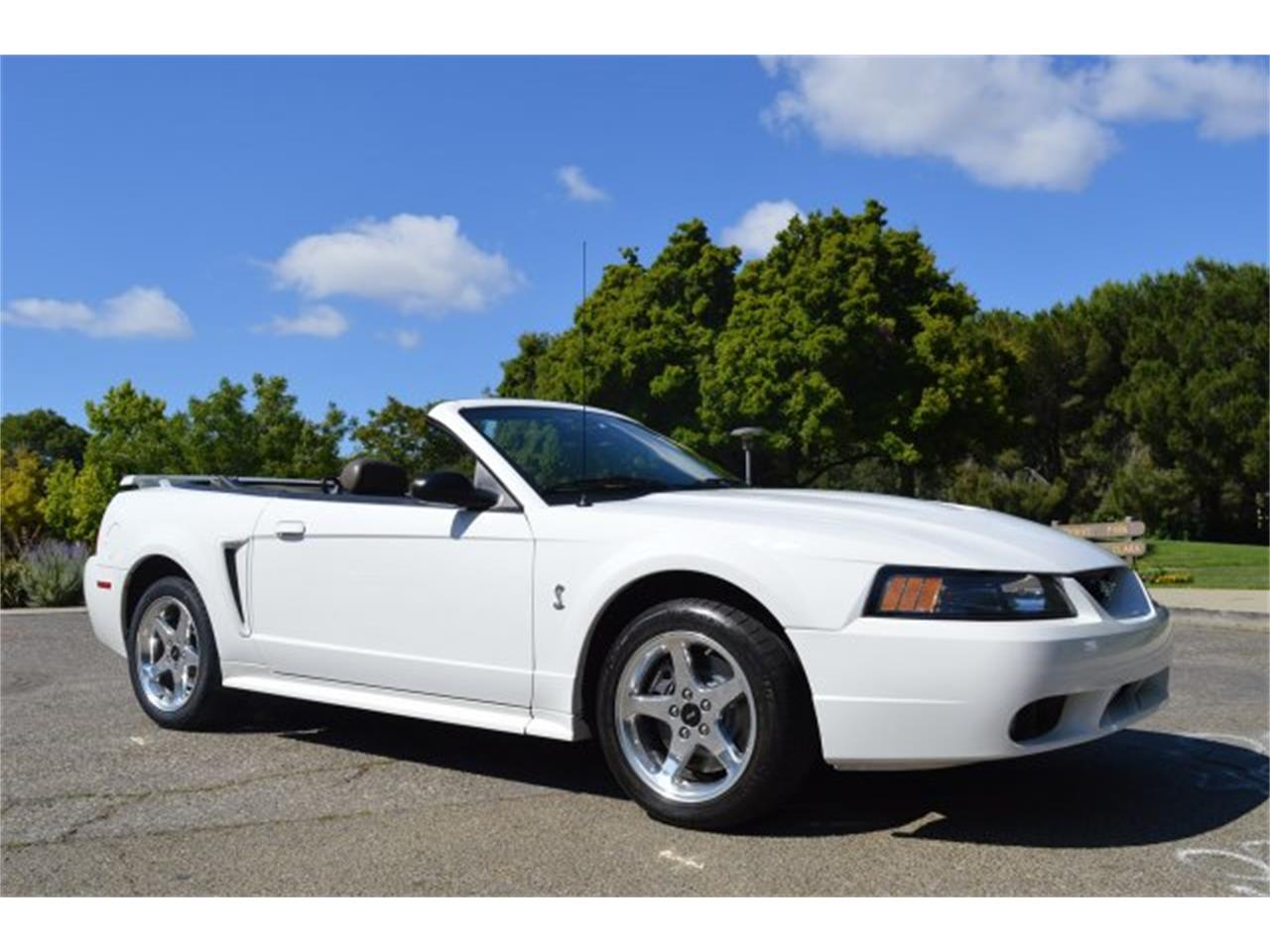 2001 Ford Mustang Svt Cobra Convertible For Sale Cc 991510 9937