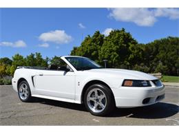 2001 Ford Mustang SVT Cobra Convertible (CC-991510) for sale in San Jose, California