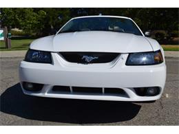 2001 Ford Mustang SVT Cobra Convertible (CC-991510) for sale in San Jose, California