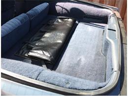 1984 Pontiac Firebird (CC-992431) for sale in Gatineau, Quebec