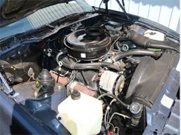 1984 Pontiac Firebird (CC-992431) for sale in Gatineau, Quebec