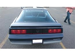 1984 Pontiac Firebird (CC-992431) for sale in Gatineau, Quebec