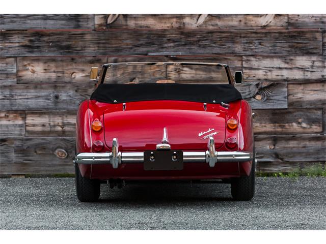 1967 Austin-Healey 3000 Mark III (CC-992562) for sale in Philadelphia , Pennsylvania
