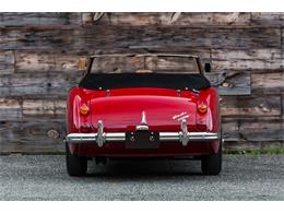1967 Austin-Healey 3000 Mark III (CC-992562) for sale in Philadelphia , Pennsylvania