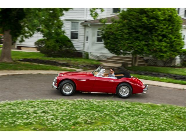 1967 Austin-Healey 3000 Mark III (CC-992562) for sale in Philadelphia , Pennsylvania