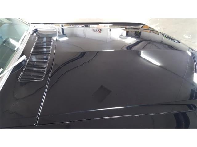 1966 Ford Mustang    Convertible (CC-992618) for sale in Mankato, Minnesota