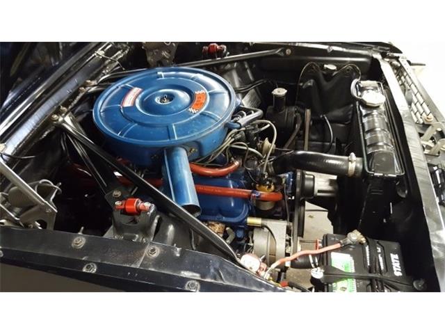 1966 Ford Mustang    Convertible (CC-992618) for sale in Mankato, Minnesota