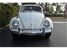 1963 Volkswagen Beetle (CC-990267) for sale in Mount Dora (Orlando), Florida