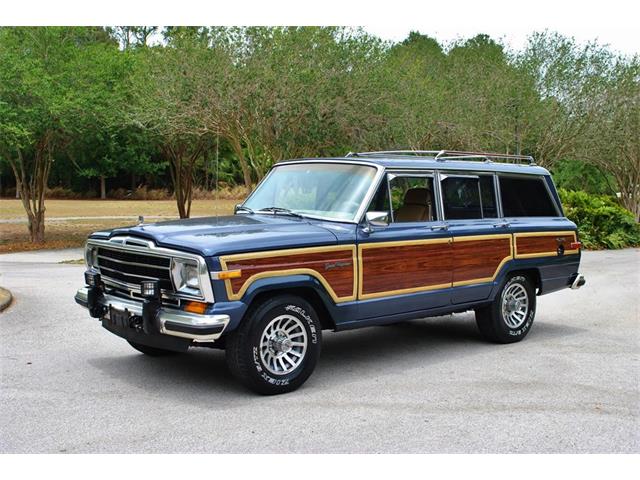 1989 Jeep Wagoneer (CC-994603) for sale in Lakeland, Florida