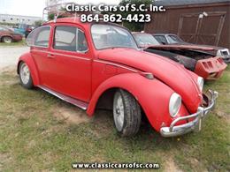 1969 Volkswagen Beetle (CC-995478) for sale in Gray Court, South Carolina