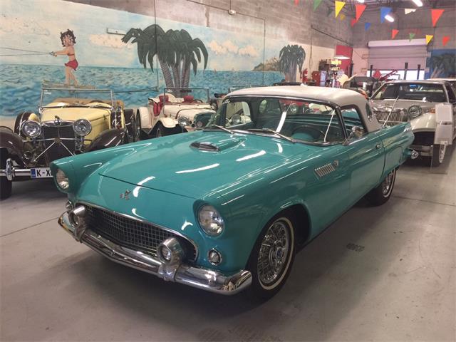 1955 Ford Thunderbird (CC-990563) for sale in Largo, Florida