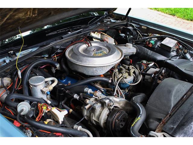 1981 Lincoln Continental Mark VI (CC-995757) for sale in Lakeland, Florida