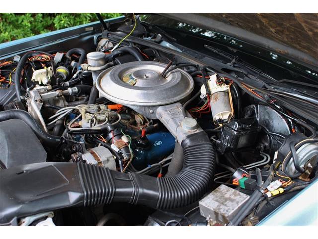 1981 Lincoln Continental Mark VI (CC-995757) for sale in Lakeland, Florida