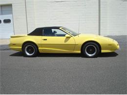 1991 Pontiac Firebird Trans Am (CC-995782) for sale in Riverside, New Jersey