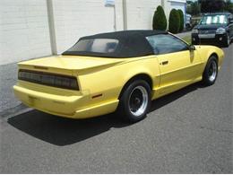 1991 Pontiac Firebird Trans Am (CC-995782) for sale in Riverside, New Jersey