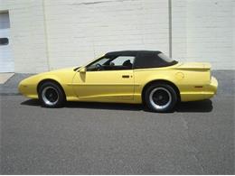 1991 Pontiac Firebird Trans Am (CC-995782) for sale in Riverside, New Jersey