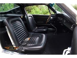 1965 Shelby GT350 (CC-996114) for sale in Halton Hills, Ontario