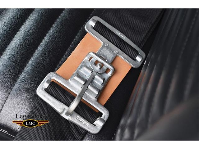 1965 Shelby GT350 (CC-996114) for sale in Halton Hills, Ontario