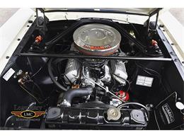 1965 Shelby GT350 (CC-996114) for sale in Halton Hills, Ontario
