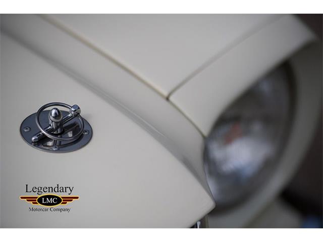 1965 Shelby GT350 (CC-996114) for sale in Halton Hills, Ontario