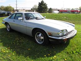 1985 Jaguar XJS (CC-996247) for sale in Troy, Michigan