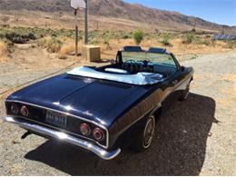1965 Chevrolet Corvair (CC-996388) for sale in Reno, Nevada