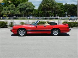 1991 Jaguar XJS Classic Collection (CC-996816) for sale in Fort Lauderdale, Florida