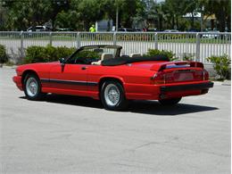 1991 Jaguar XJS Classic Collection (CC-996816) for sale in Fort Lauderdale, Florida