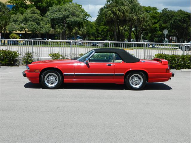 1991 Jaguar XJS Classic Collection (CC-996816) for sale in Fort Lauderdale, Florida