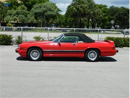1991 Jaguar XJS Classic Collection (CC-996816) for sale in Fort Lauderdale, Florida