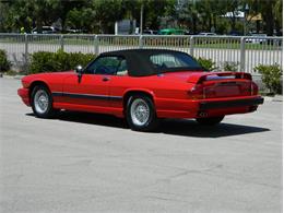 1991 Jaguar XJS Classic Collection (CC-996816) for sale in Fort Lauderdale, Florida